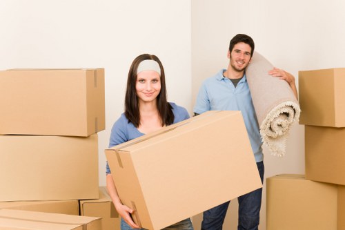 Fragile item packing materials for homes and businesses near Holland Park