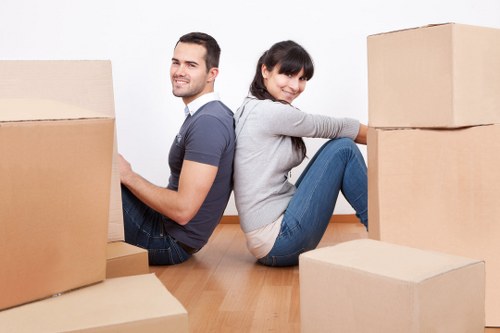 Professional man and van helping with residential transport