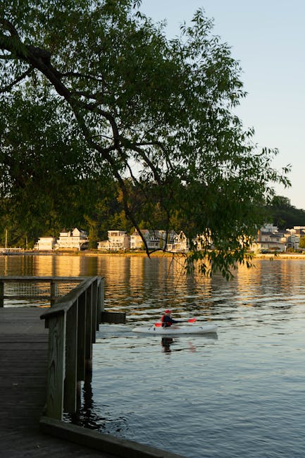 A person wearing a red jacket and a life vest is seen kayaking on a calm river near a wooden pier with a railing, surrounded by lush green trees, with their branches extending over the water. In the background, there are white residential buildings along the shoreline under a clear sky. The scene appears to be in a peaceful outdoor environment, possibly during late afternoon or early evening, with the sunlight reflecting gently off the water surface. This setting highlights an outdoor leisure activity close to a residential area, with the kayak positioned centrally in the image, emphasizing the calmness of the river and the natural surroundings relevant for home relocation or outdoor activity content on manandvanhollandpark.com.