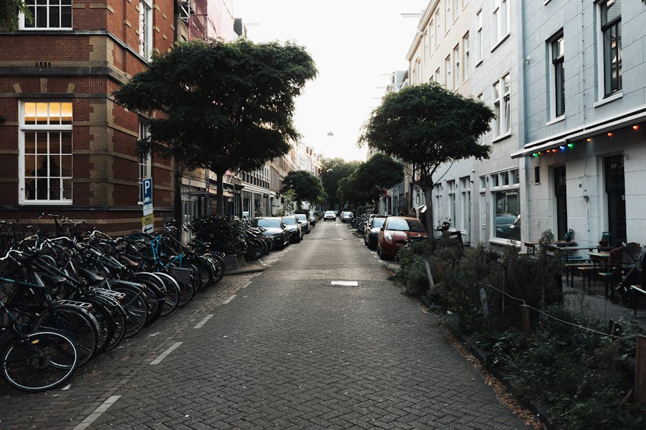A narrow residential street in Holland Park, lined with parked cars on both sides and small trees planted along the pavement. On the left, a row of bicycles is secured to bicycle racks next to a red-brick building with large windows. On the right, a white building features outdoor seating with small tables and chairs, some of which are decorated with string lights. The street appears calm and quiet with soft natural lighting, indicating late afternoon or early evening. This setting depicts the typical environment for house removals and furniture transport, where tight street access may cause delays in loading or unloading during a home relocation. Man and Van Holland Park is familiar with navigating such streets for efficient removals and packing services, ensuring careful handling of belongings despite space constraints and street access limitations.