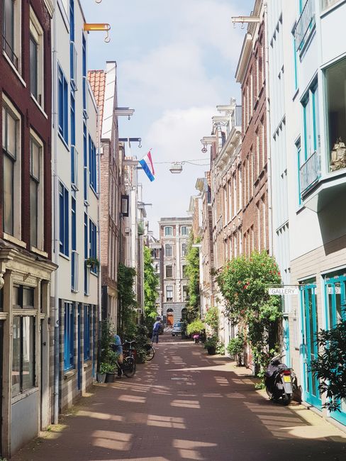 A narrow residential street in Holland Park lined with tall brick buildings on both sides, featuring black wrought-iron balconies and window boxes with red flowers. Potted plants and small shrubs are positioned along the pavement in front of the entrances. A large green tree with lush foliage stands at the end of the street, partially blocking the view. The scene is illuminated by natural daylight, highlighting the textured brick facades and decorative outdoor wall lamps. This setting illustrates typical urban surroundings where Man and Van Holland Park may conduct house removals or furniture transport, particularly when facing restrictions caused by narrow street access delaying home relocation logistics.